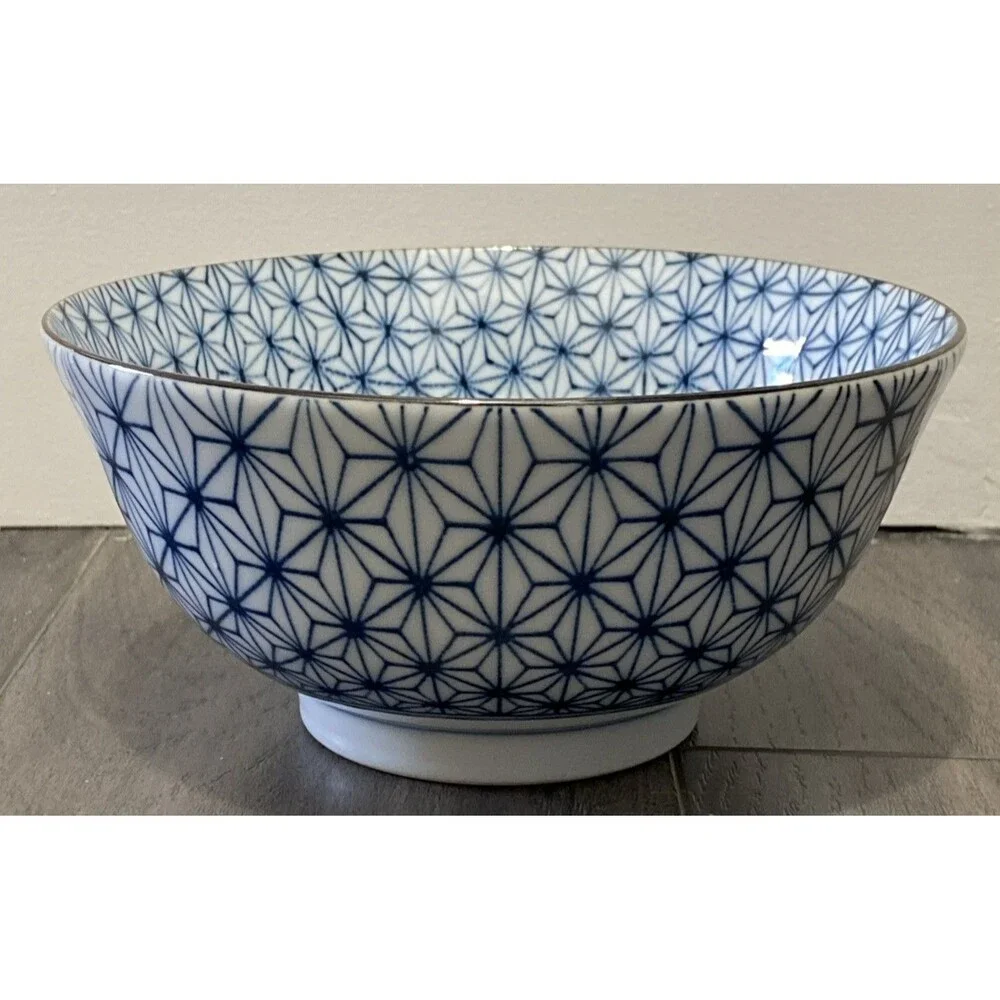 Japanese Donburi Rice Bowl 6